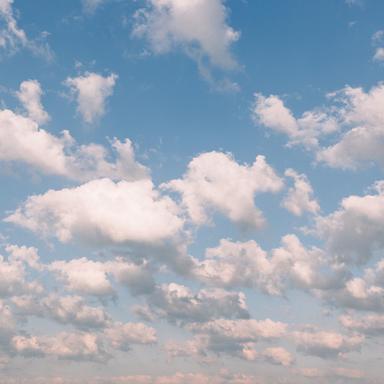 Serene Daydream