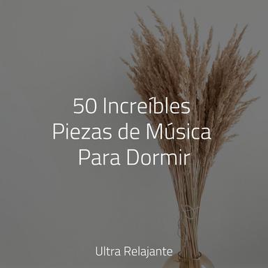 Siesta Junto A La Hoguera