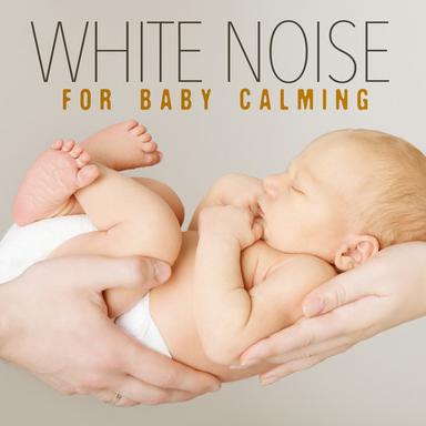 White Noise: Noises