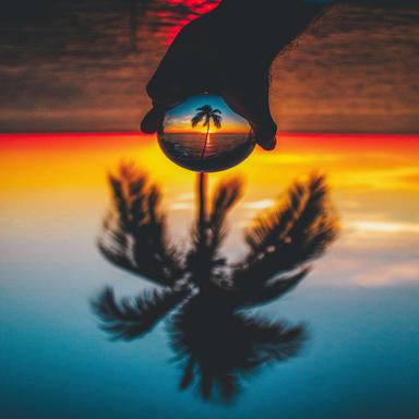 Day - Mixed