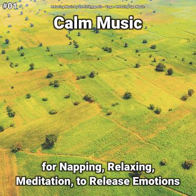Relaxing Music for Spa
