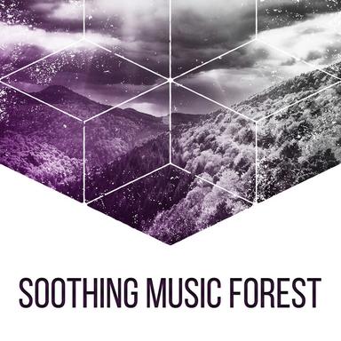 Soothing Forest Relaxation