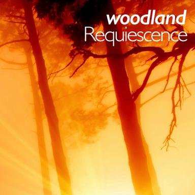 Wood Song