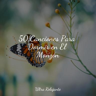 Armonía De Otoño