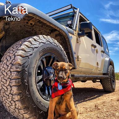 Kata