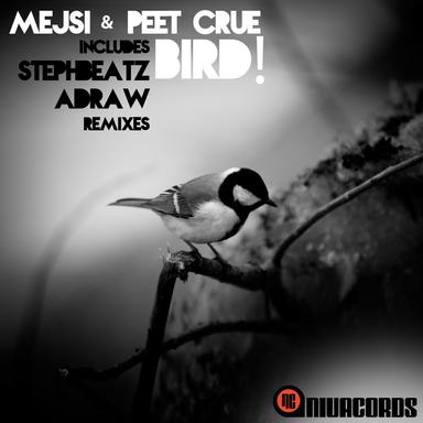 Bird! - Stephbeatz Remix