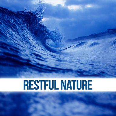 Sounds of Nature Relaxation