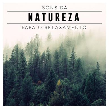 Pausa da Floresta