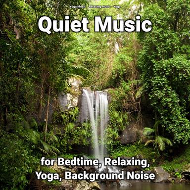Relaxing Music for Noise Reduction
