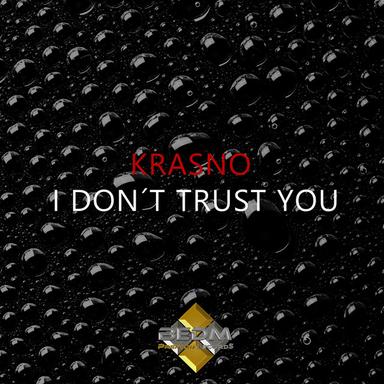 I Don't Trust You - Radio Version