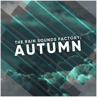 Shimmery Rain and Thunder