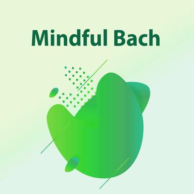 Partita For Violin Solo No.2 In D Minor, BWV 1004: 2. Courante