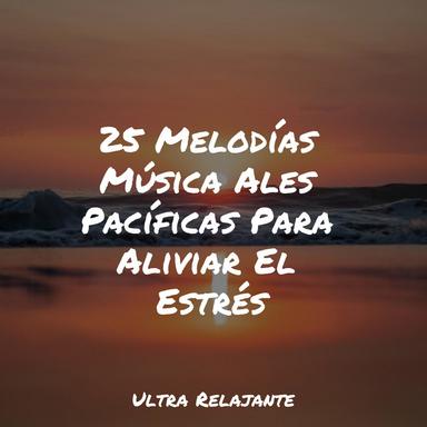 Reflexionando Sobre Estanques