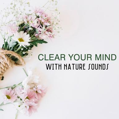 Zen Spirit