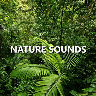 Relaxing Sounds