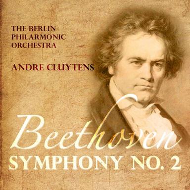 Symphony, No. 2 in D Major, Op. 36: II. Larghetto