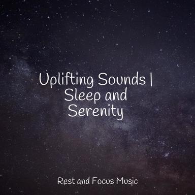 Tranquil Melody