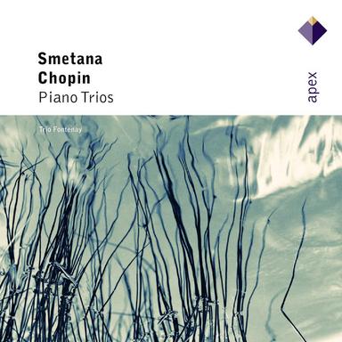 Chopin: Piano Trio in G Minor, Op. 8: I. Allegro con fuoco