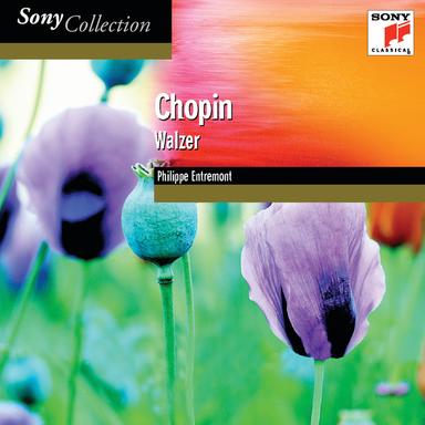 Waltz in D-Flat Major, Op. 64, No. 1 "Minute Waltz"