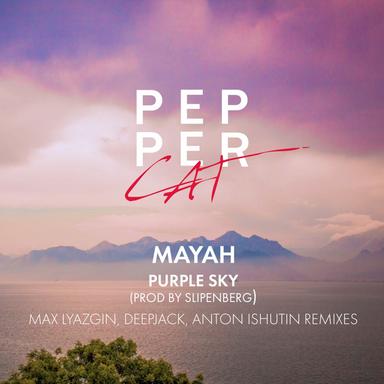 Purple Sky - Max Lyazgin Remix