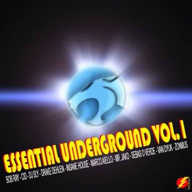 Around The World - Insane House Remix