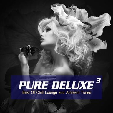 Stay With You (Instrumental Wellness Lounge Mix)