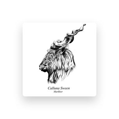 CS