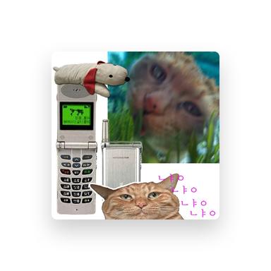BD