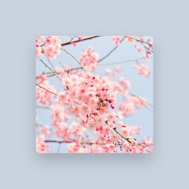 PO