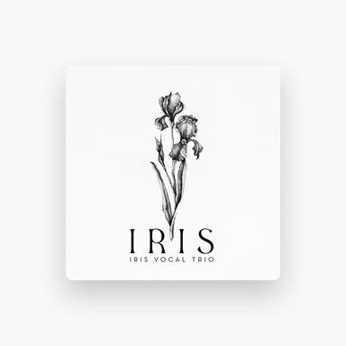IT