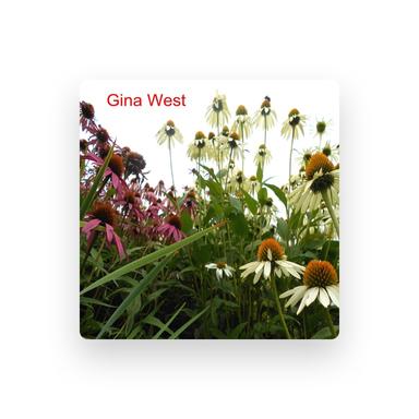 GW